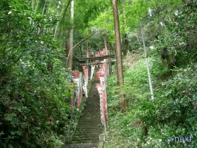 [写真]階段