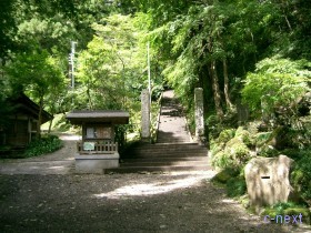[写真]園内の道