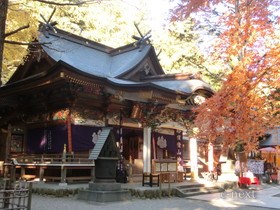 [写真]宝登山神社の紅葉