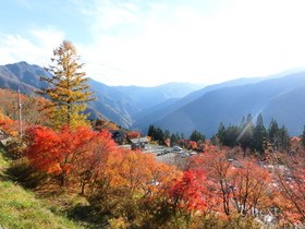 [写真]三峯神社の紅葉