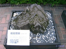 [写真]褶曲の展示