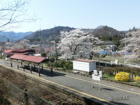 [写真]桜の季節